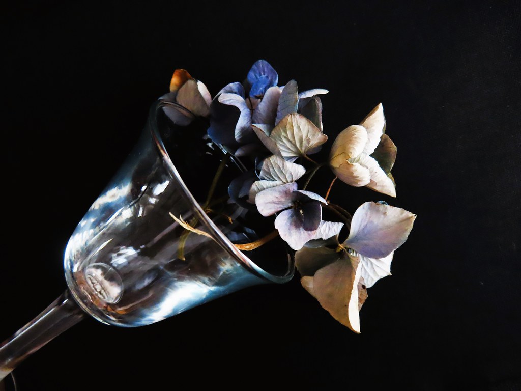 Getrocknete Hortensie im Glas 🌸 Dried Hydrangea in a glass