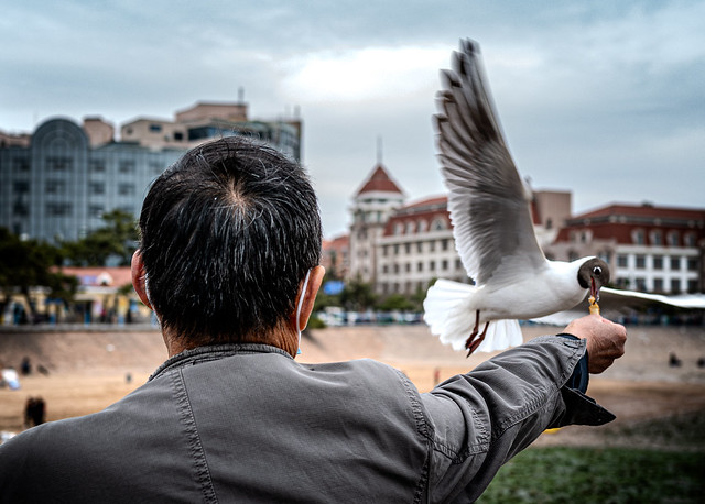 Feeding the Bird (Qingdao, China. Gustavo Thomas © 2023)