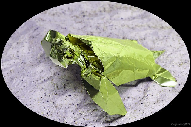 Origami Green Sea Turtle (Yoo Tae Yong)