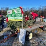 Trees for Troops A trailer holds Christmas trees for donation to families of Service Members at the Elms Family Farm in Ballston Spa, N.Y., Nov. 28th, 2023. Elms Farm, along with other tree farms in the area, participate in Trees for Troops every holiday season. ( U.S. Army National Guard photo by Maj. Jean Marie Kratzer).