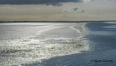 Waddenzee-Texel