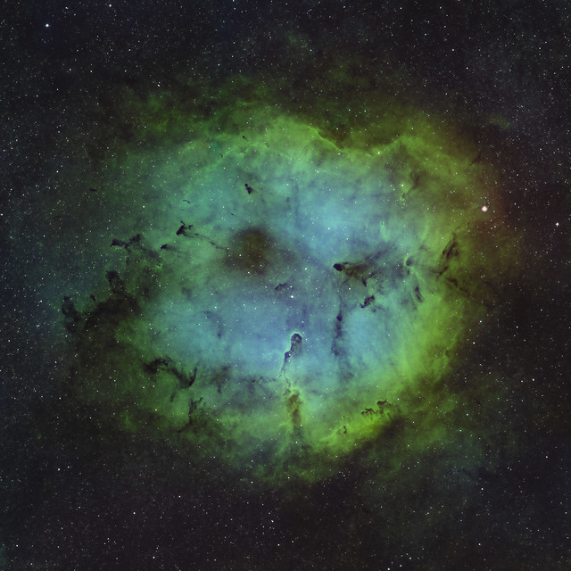 IC1396 SHO-RGB Mosaic - Sep-Nov 2023