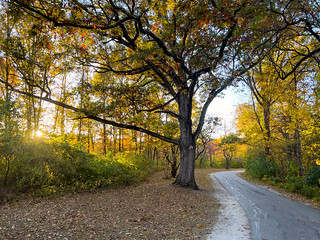 Autumn Sunset in Wildwood Preserve Metropark, Toledo, Ohio