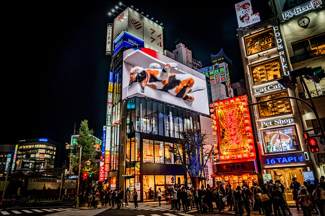 Cross Shinjuku Vision Giant 3D Calico Cat “Nya” Interactive Digital Video Billboard “Giant 3D Cat” - Lounging, Shinjuku, Tokyo, Japan