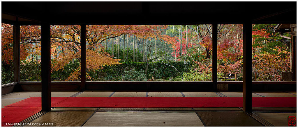 A quiet autunm afternoon in Hosen-in temple, Kyoto, Japan