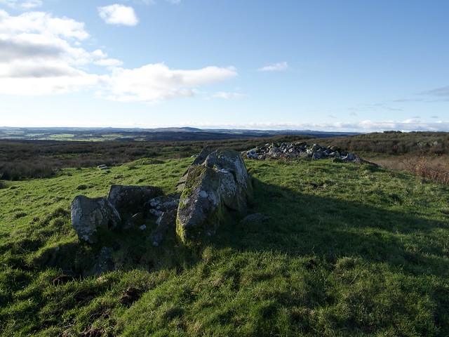 Chambered Cairn near Nappers Cottage