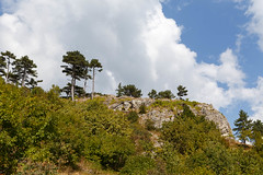 Pine trees on the rocks along the Uzenbash trail._080