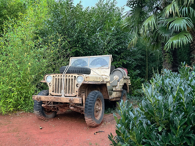 Dschungel-Jeep
