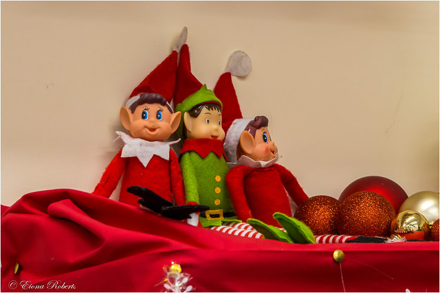 Three elves on the shelf 😱