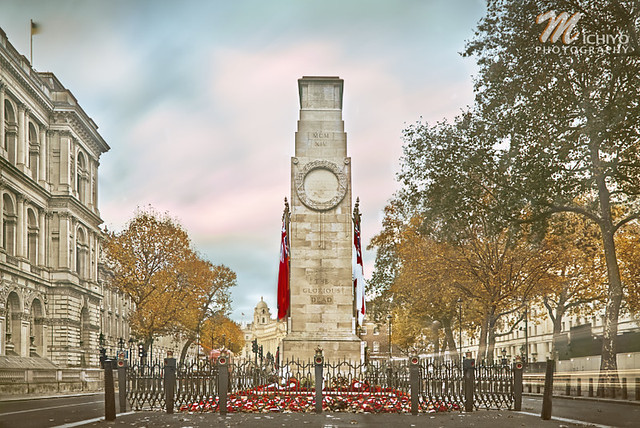 Red Poppy Remembrance - The Cenotaph