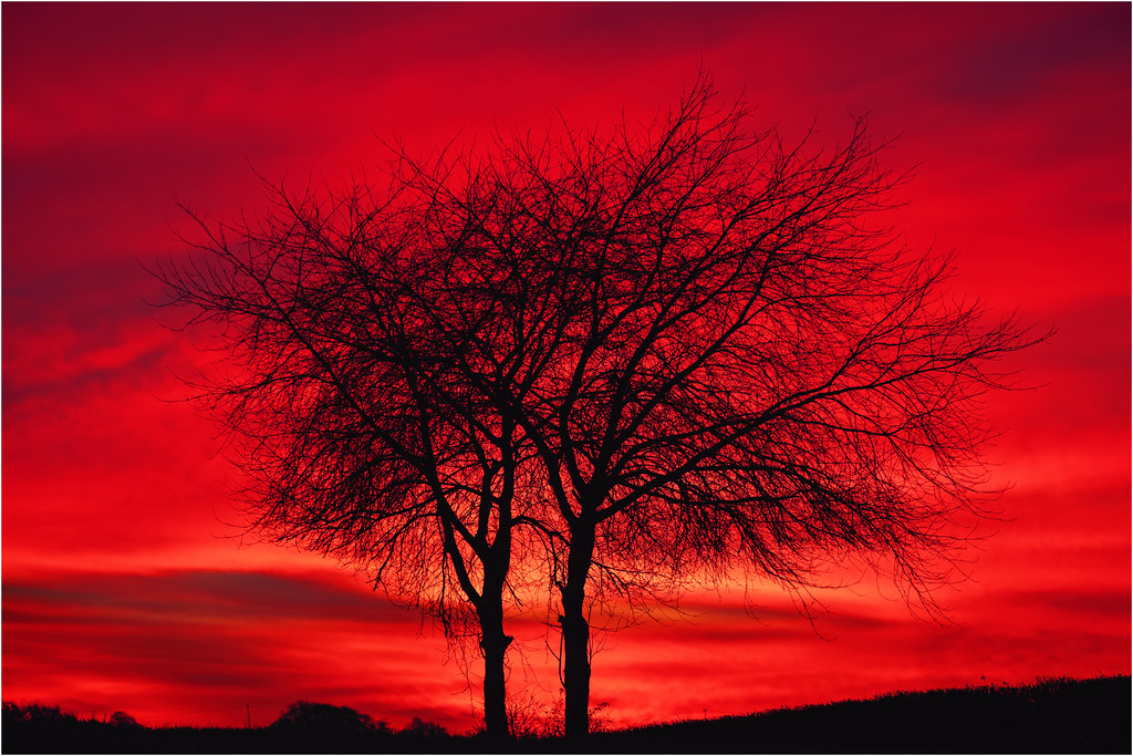 Under a blood red sky….