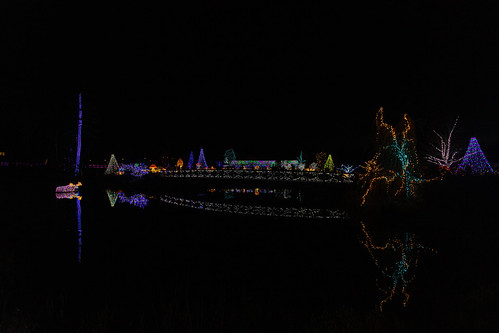 Botanical Garden Scene This photo was taken looking across a pond and a bridge that crosses it to the lights on the other side.  On the left under the blue tree is a moose standing in the water.  