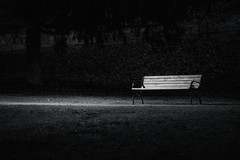 Lonely Bench - #1