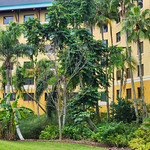 Loews Royal Pacific Our hotel at Universal Orlando.