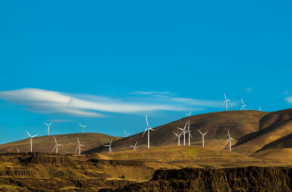 COP28將推動再生能源加速發展。圖片來源：Sheila Sund（CC BY 2.0）