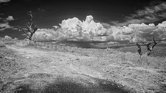 Storm brewing (infrared)