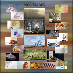 November ... and the end of an eventful month