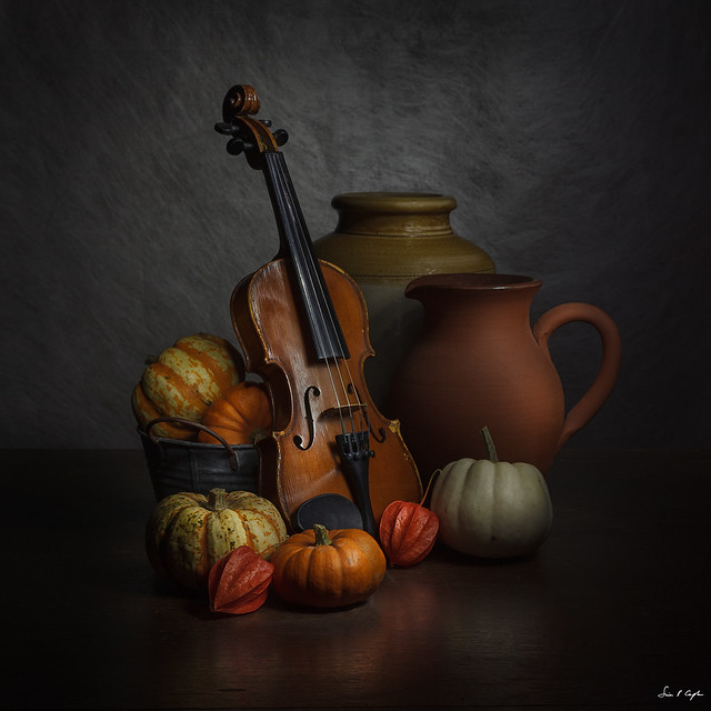 An Autumn Concerto