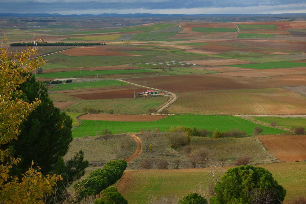 Campos de la Meseta Norte.