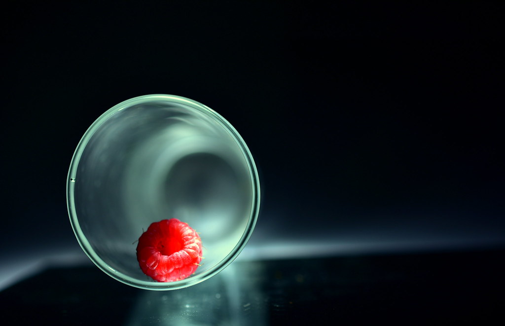 Single Raspberry Inside One Raspberry |