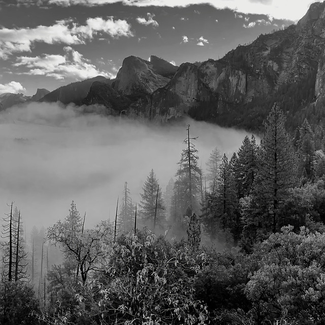 Morning Mist Over Yosemite Valley 113023
