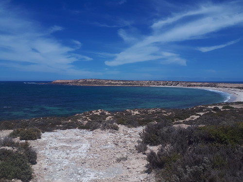 point brown | by berniebulk