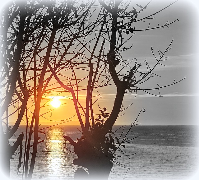 Sunrise Sun Water Beach Paysage