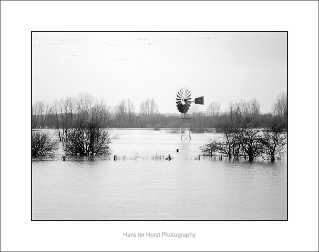 Floodplains of the River IJssel