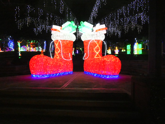 Christmas Lights - Hunter Valley Gardens