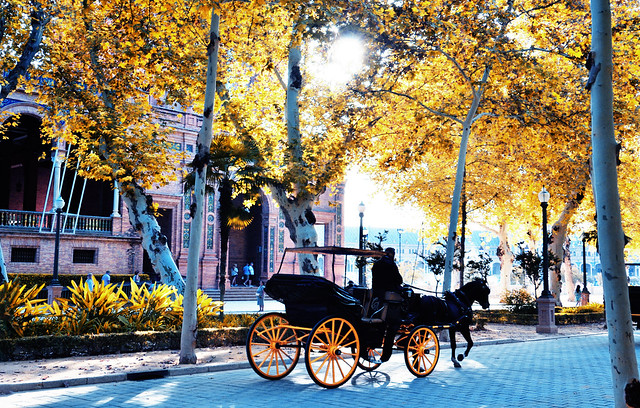 Horse-Drawn Carriages in Seville