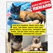 			yycpetrecovery posted a photo:	album- bit.ly/4a4hR1a LOST chocolate brown & white siamese cat #PanoramaHills since November 30 Contact 403-926-9604 if sighted/found Pls watch, share, help to locate MARCO --------Rec'd By Messenger did you find any siemes cat male from panorama bit.ly/4a5WVGP   Photos from YYC Pet Recovery's postvpdescription by  Photos from YYC Pet Recovery's post LOST chocolate brown & white siamese cat #PanoramaHills since November 30 Contact 403-926-9604 if sighted/found Pls watch, share, help to locate MARCO --------Rec'd By Messenger did you find any siemes cat male from panorama bit.ly/4a5WVGP Photos from YYC Pet Recovery's post 2023-12-02T06:32:26.000Z   Photos from YYC Pet Recovery's post wall fb post-click here bit.ly/4a5ph3Woriginal visitor post bit.ly/4a5ph3W December 02, 2023 at 01:30AM bit.ly/2BxTYim iftt Upload public photo from URL