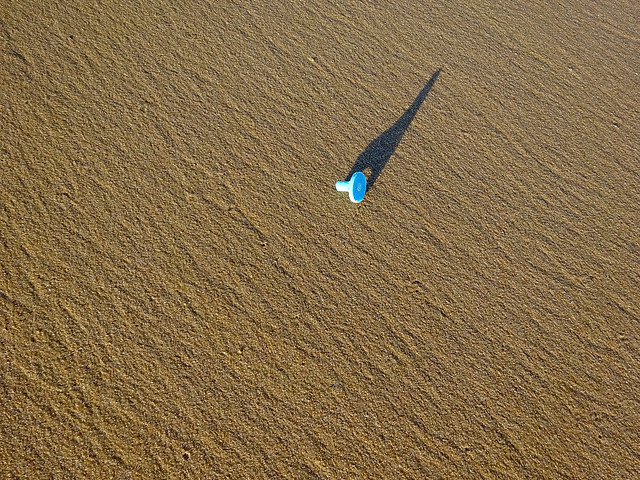 Left by the Tide