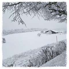 Winter auf der Baldegg, Baden, Schweiz * Winter at Baldegg, Baden, Switzerland * Invierno en el Bald