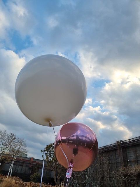 3ft Latex Balloon and Orbz Foil Balloon (Taken at Outside)