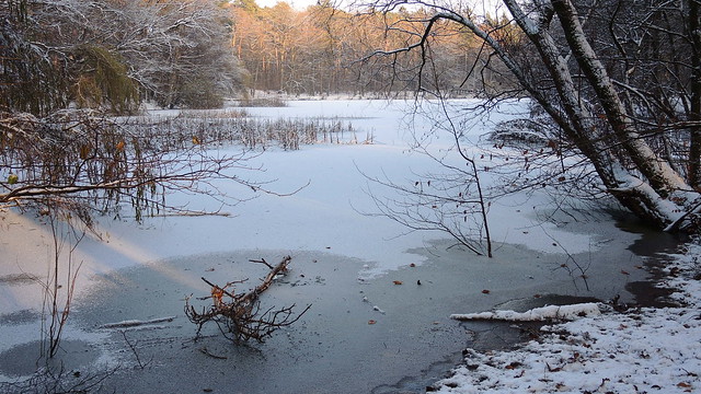 Wintersun Upon the Pond