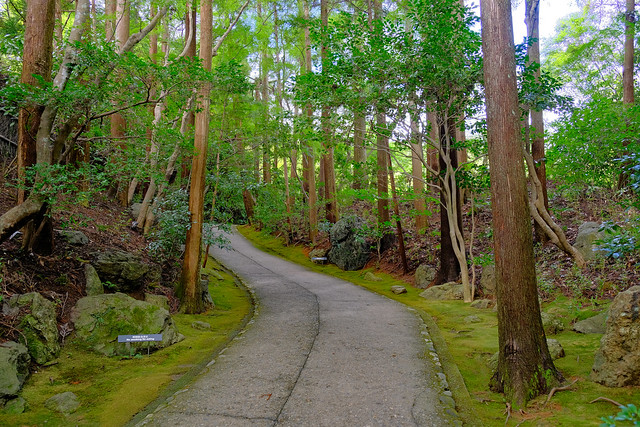 Okochi Sanso Gardens, Mount Ogura, Arashiyama, Western Kyoto, Japan - 10 October 2023