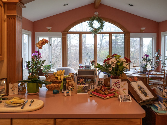 Kitchen & Sunroom, with Flowers for Maria, Nov 2023