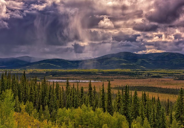 Stormy Alaskan Landscape