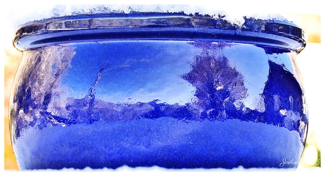 _~ Le Pot bleu aux reflets ~~