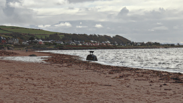 Dog on a rock, West Kilbride