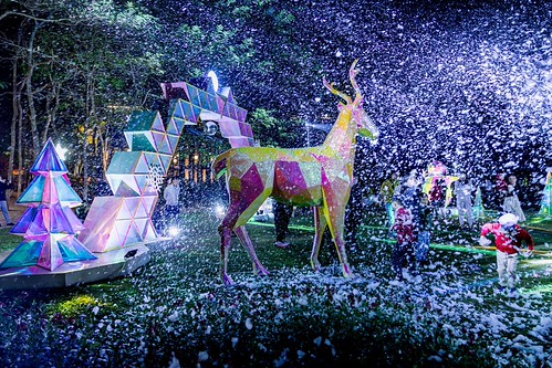 check-in-noel-ecopark-05