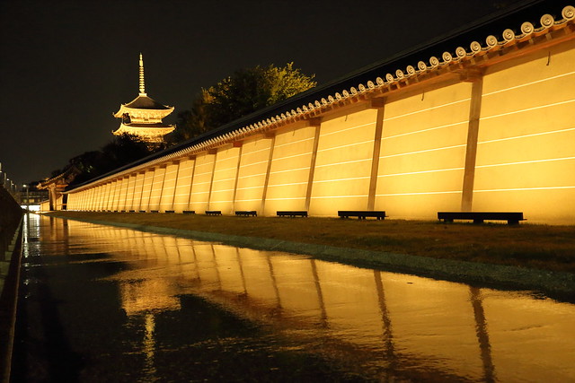 Toji temple at night