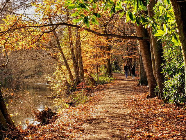 Autumn Stroll....
