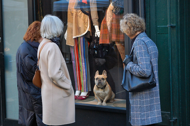 How Much Is That Doggie In The Window?