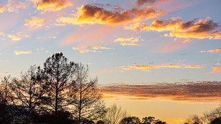 Sunset Sky @ Lewis Ginter Botanic Gardens - Richmond, VA, USA