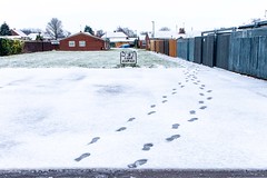 Footprints walking backwards in snow