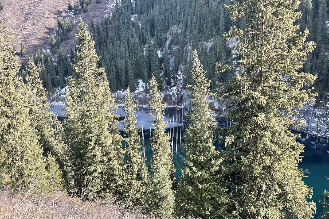IMG_5556