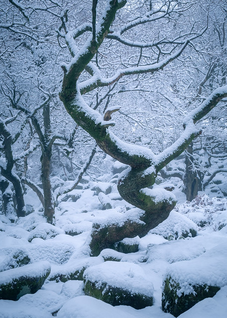 Winter Arrives in Padley Gorge (Explored)