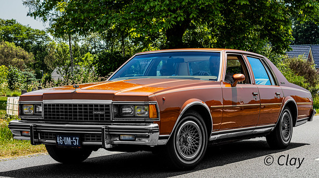 Chevrolet Caprice Classic Sedan 1978 (7631)