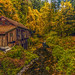 Cedar Creek Grist Mill in Autumn